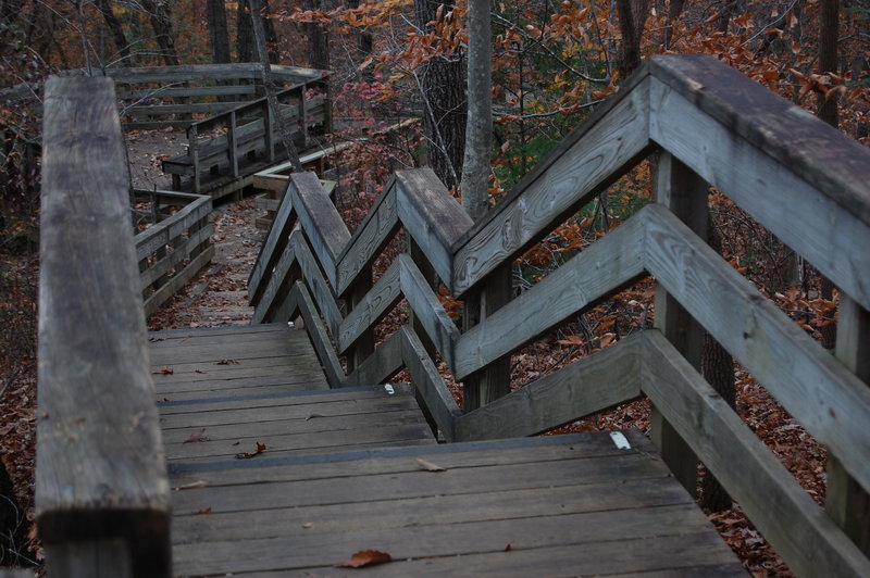 The stairs along the Swift Creek Loop Trail.