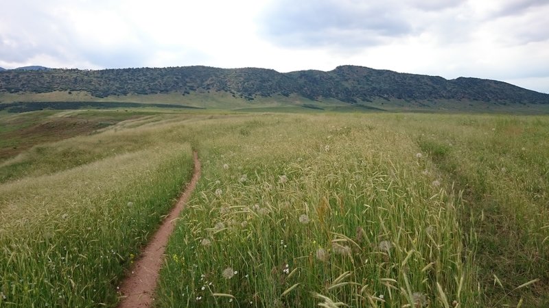 View of the Hogback Ridge looking west.