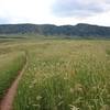 View of the Hogback Ridge looking west.