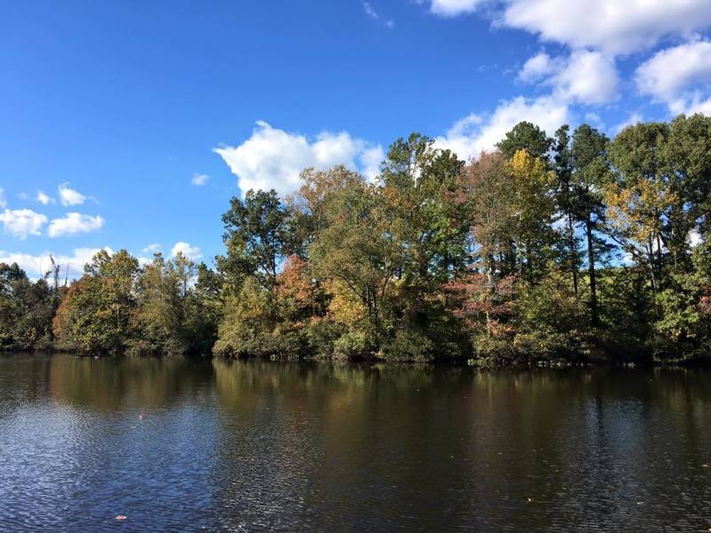 A deciduous treeline makes for a pretty sight from the fishing dock on the Red Blaze Trail.