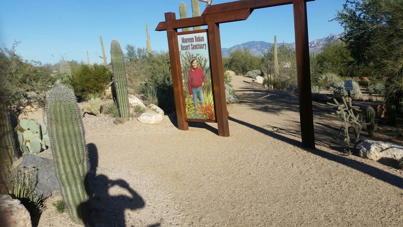 The north entrance to the Arthur Pack Loop is straightforward to find.