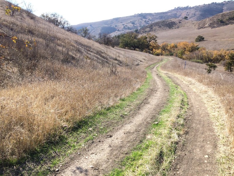 Crummer Ranch Road is nice and smooth as it heads downhill toward East Las Virgenes Trail.