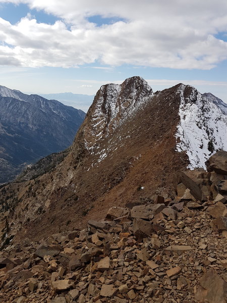 The summit of Monte Cristo affords visitors panoramic views and great feelings of accomplishment!