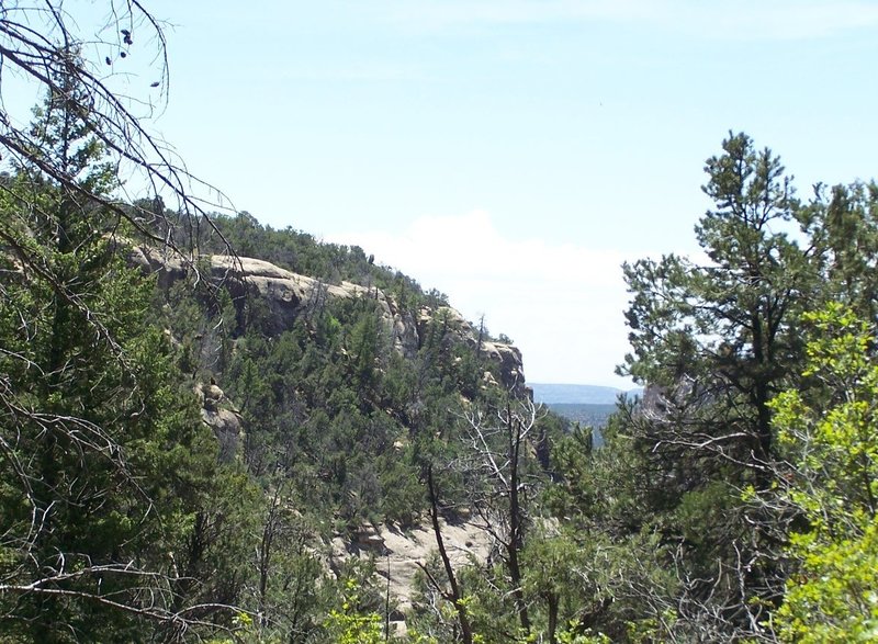 A view down Spruce Canyon.