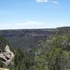 Looking out into Spruce Canyon from the Petroglyph Point Trail.