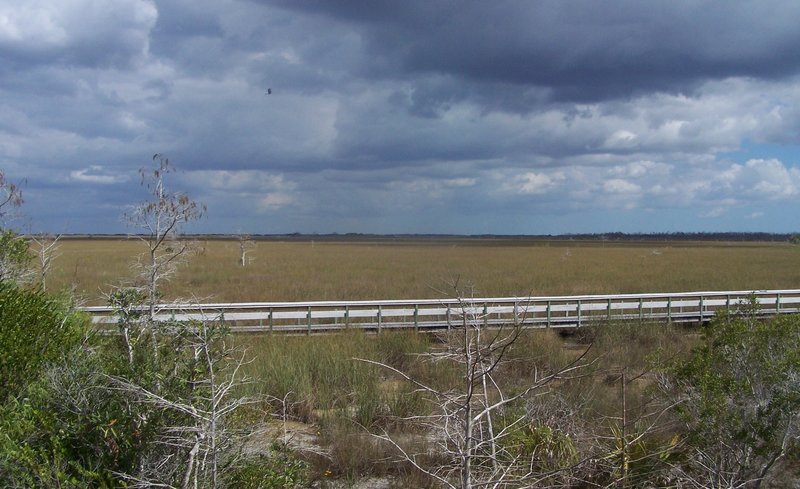 Storm rolling in over the river of grass (Pa-hay-okee boardwalk).