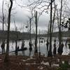 Lee Hall Reservoir just off the White Oak Trail.