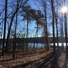 Lee Hall Reservoir Lookout Dock at the end of the Long Meadow Trail.