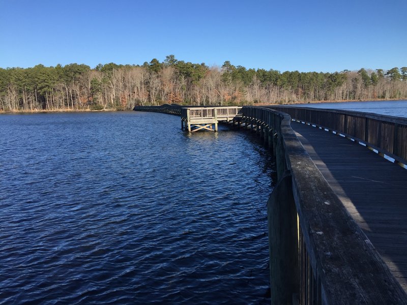 Dam #1 Bridges the Lee Hall Reservoir with access to Twin Forts Trail and  White Oak Trail.