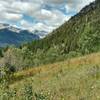 Wildflower-filled meadows grace the lower parts of Cory Pass in Banff, Alberta.