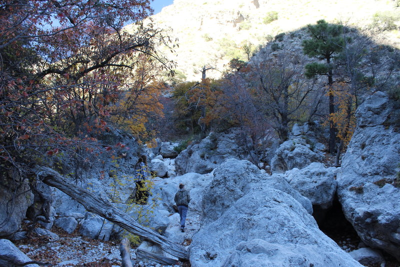 About half of the Devil's Hall Trail is located in a dry creek bed inundated with huge rocks.