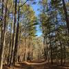 The nice, wide, and relatively flat Bikeway Trail is a great option for young and old alike.