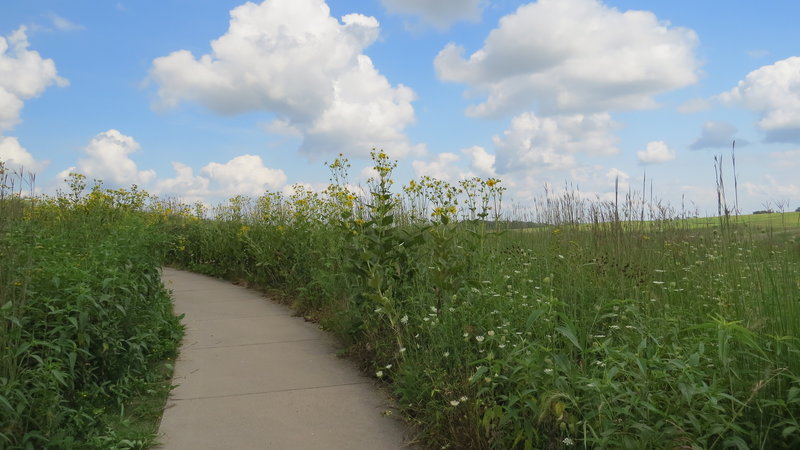 True to its namesake, tall grasses abound along the Tallgrass Trail.