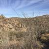 An interesting desert vista among boulders and ocotillo.