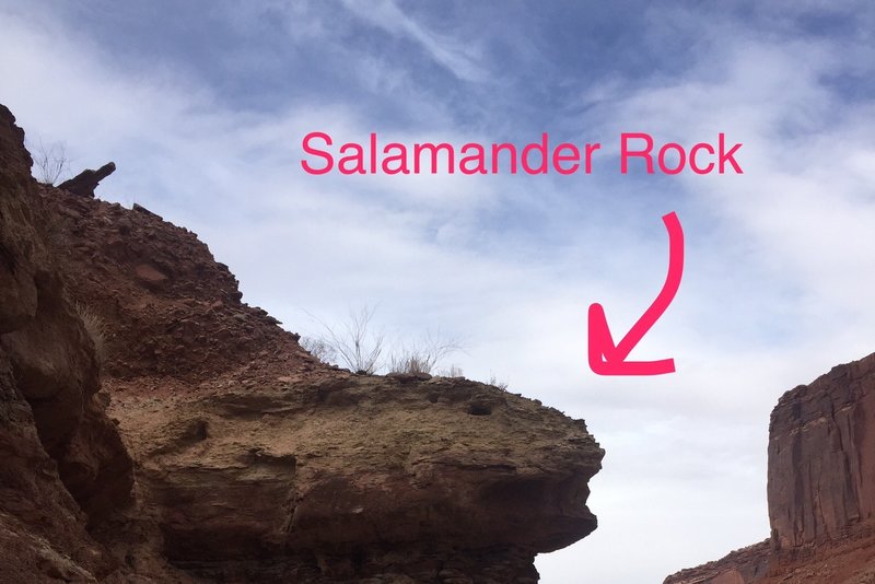 Look for the salamander-shaped rock when running in the riverbed on the Alcove Spring Trail.