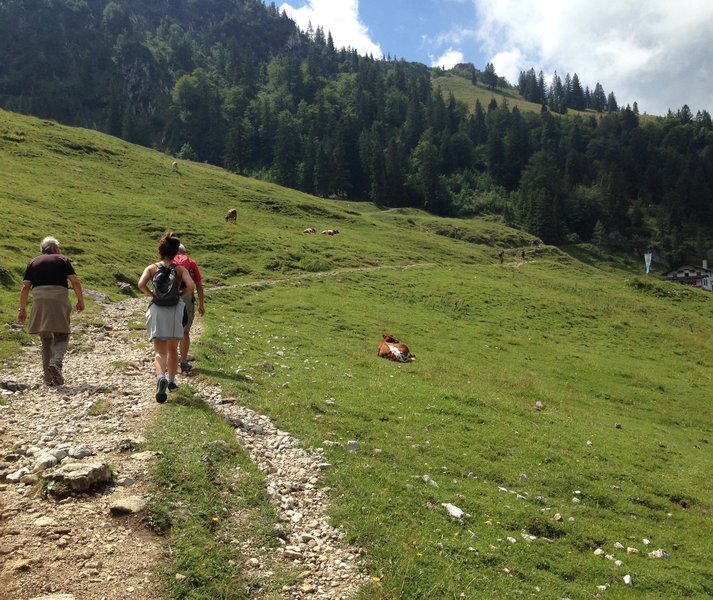 Traversing along the Reitweg Alternate trail.