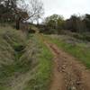 Enjoying the Cinnabar Trail (New Almaden Trail/Mine Hill Trail connector) is a great way to spend a winter day.