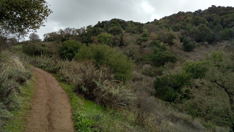 The New Almaden Trail offers a beautiful landscape for all to enjoy, even on a winter's day.