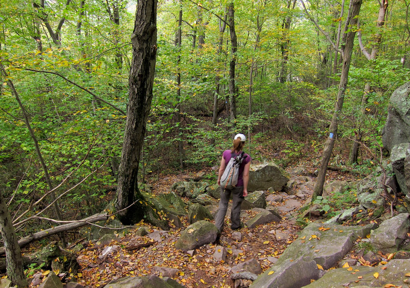 A hiker navigating the rocky terrain along the Terrace Pond North Trail.