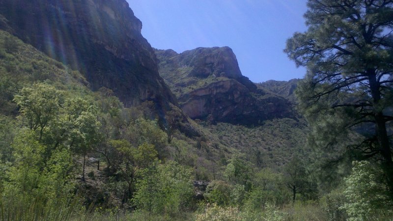 McKittrick Canyon