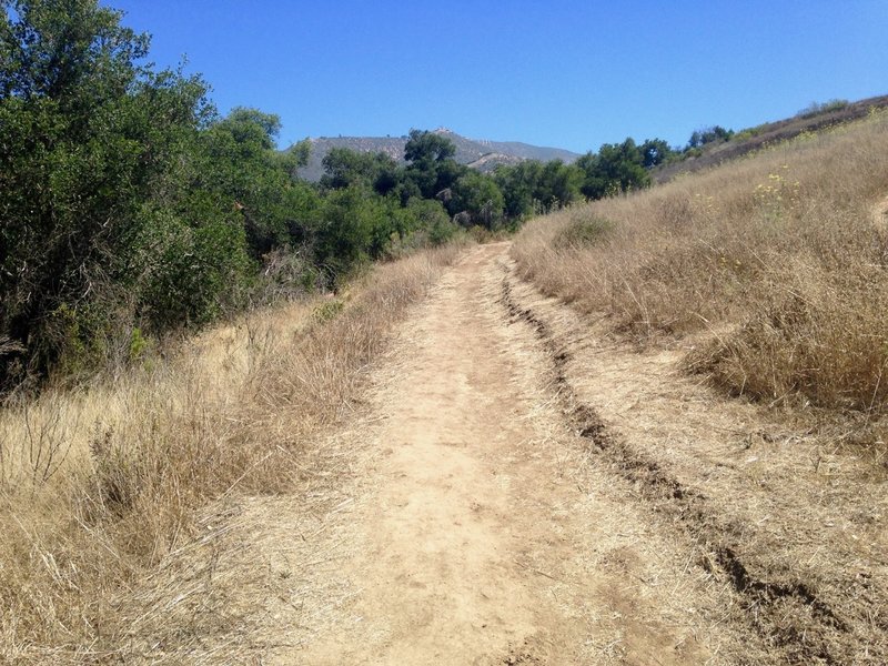 Heading up the hill on Standwood Trail at Parma Park.