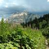 Vimy Peak and summer wildflowers from the Bertha Lake Trail.