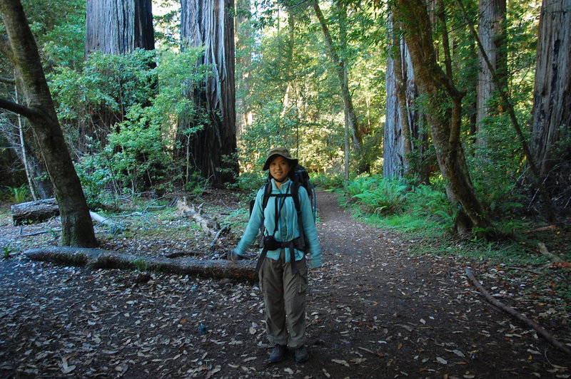 On the Tall Trees Trail.