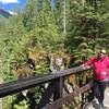 High Hoh Bridge in Olympic National Park, Washington.