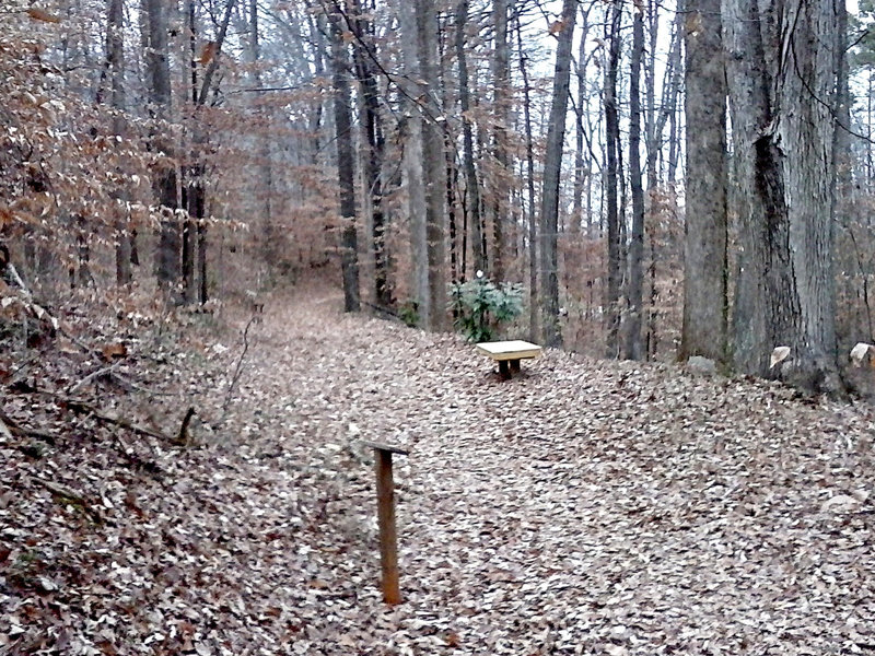 The wide, well-graded road that makes up the end of the loop hints at the exclusive private park that once occupied this location.