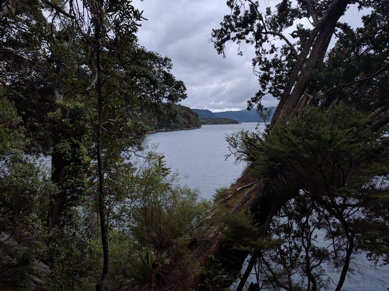 Lake Okataina looks pretty beautiful from the remote southern end.