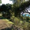 A winter day on Castillero Trail.