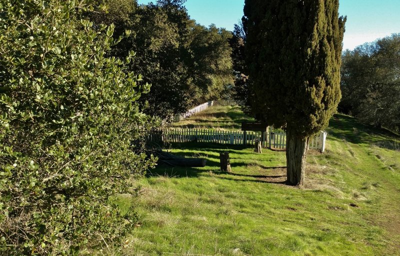 Site of the old miners' Hidalgo Cemetery.