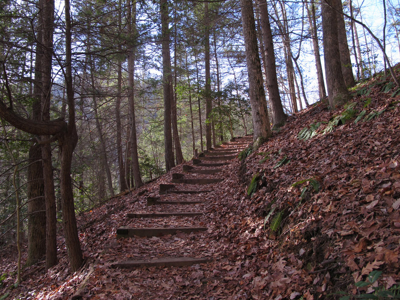 Heading up to Chestnut Knob.