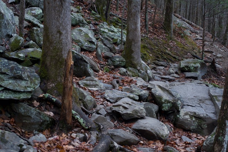The trail crosses a rock field at Bull Branch.