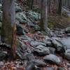 The trail crosses a rock field at Bull Branch.