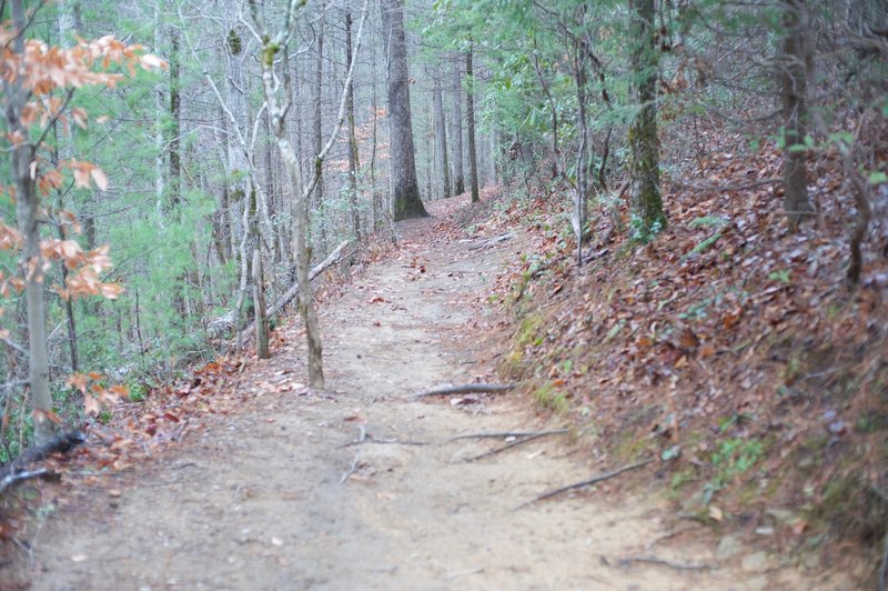 This is looking back up the trail as you get closer to the falls.