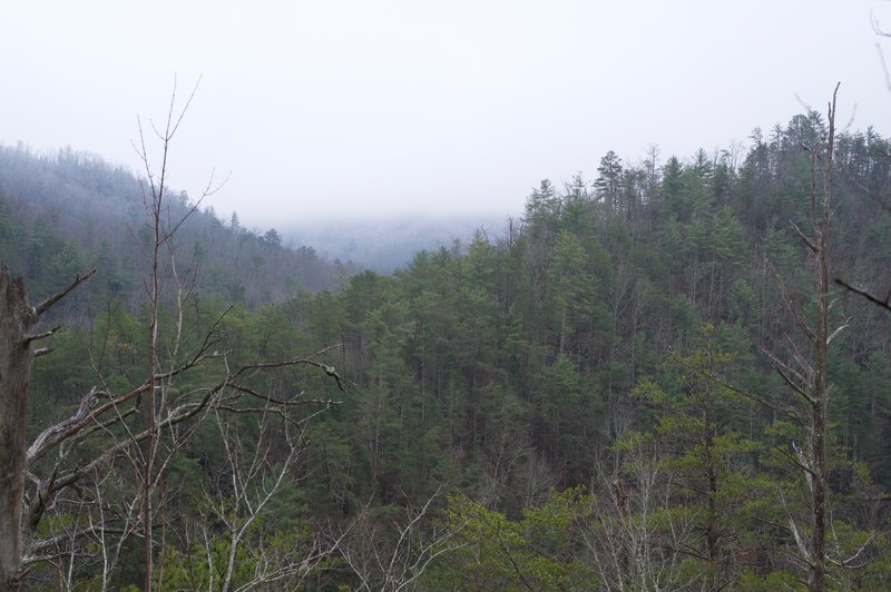 A view of the mountains along the Middle Prong watershed was hidden in low-hanging clouds on this day.