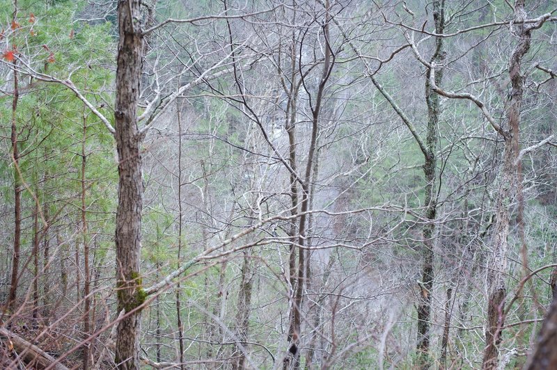 At various points along the trail, you can see the road and Middle Prong of the Little River.