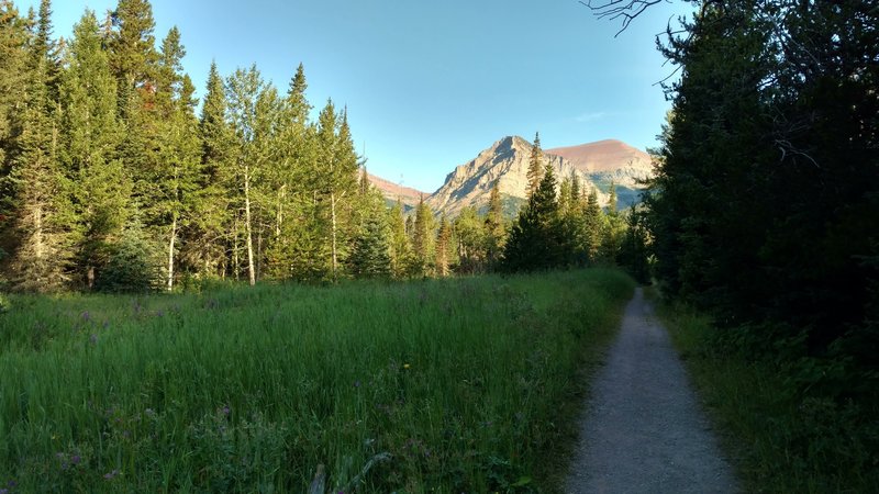 Morning on the Snowshoe Trail greets us as we head off on a new adventure.