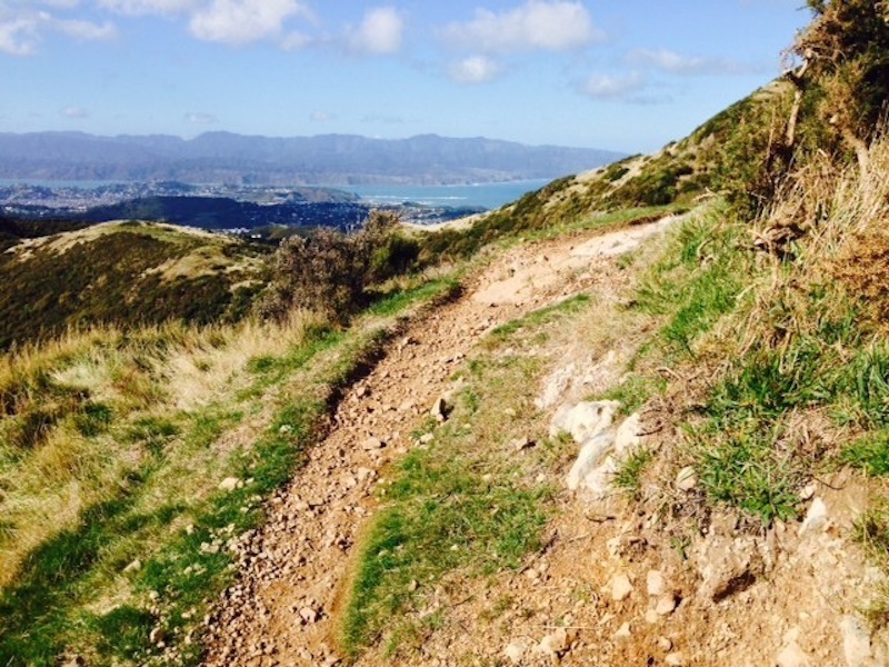 Looking out along the track to Wellington below and the hills above Eastbourne in the distance.