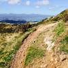 Looking out along the track to Wellington below and the hills above Eastbourne in the distance.