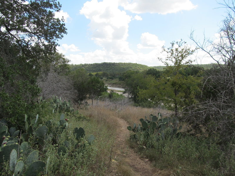 The Goodwater Loop weaving through prickly pear cactus along the north banks of the San Gabriel River.