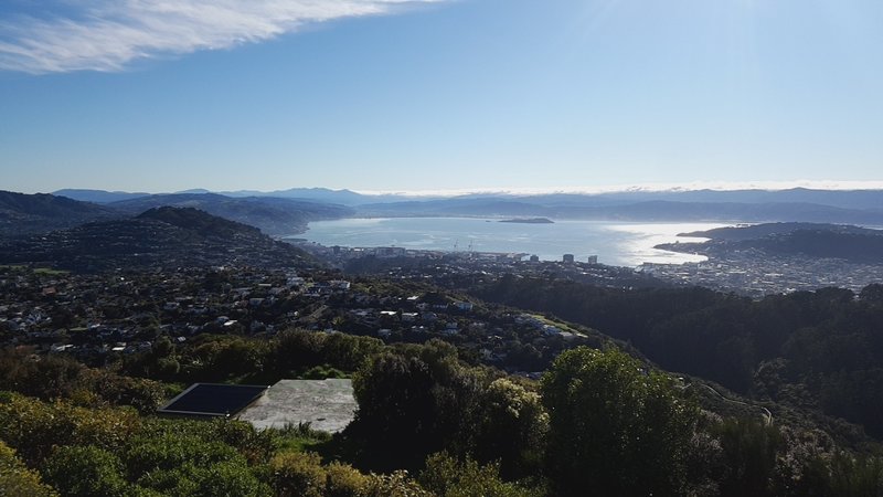 Looking down from the Wrights Hill Lookout.