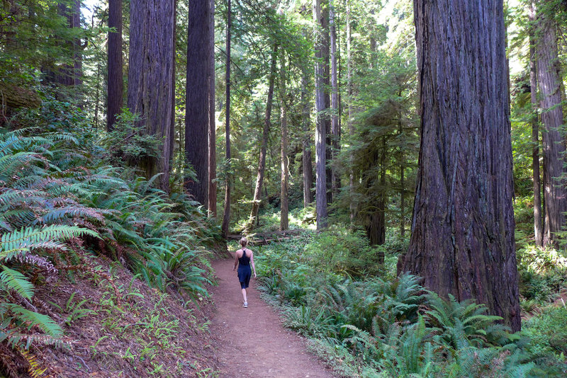 The James Irvine Trail is such a beautiful, well-maintained trail.