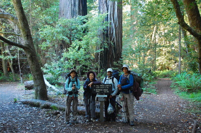 The trail junction near the Tall Trees Grove.