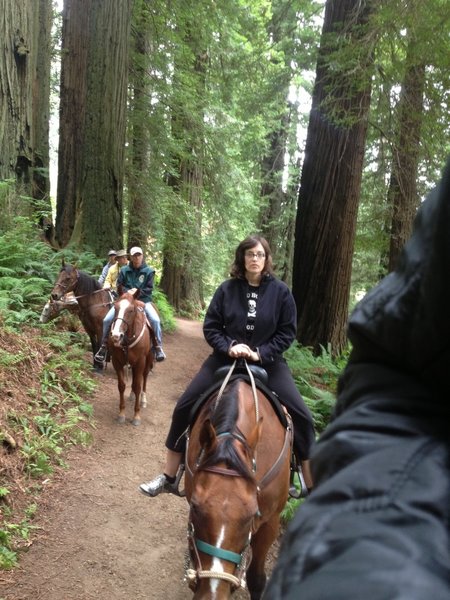 Riding in Redwood National Park on the Orick Horse Trail with the Redwood Creek Buckarettes.