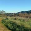 Looking out towards the hills south of San Jose, California.