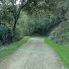 Mine Hill Trail winds through hilly wooded terrain in east Quicksilver Park.