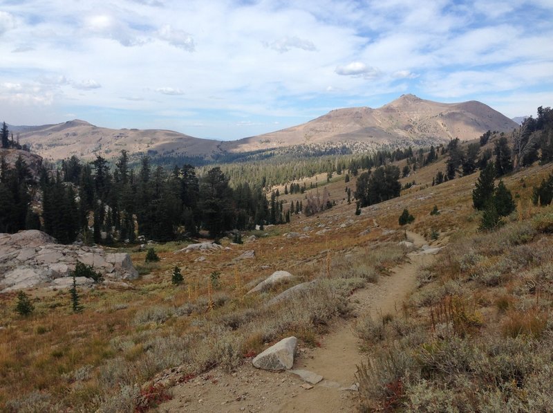 On the trail near Winnemucca Lake.