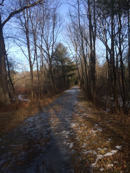 Looking down the old railroad grade.